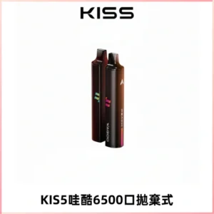 KIS5WAGOO哇酷6500口拋棄式 | 自由混搭雙口味 | 雙芯組合