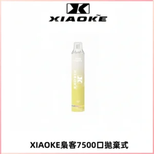 XIAOKE梟客7500Puffs跑馬燈拋棄式電子煙 可發光一次性
